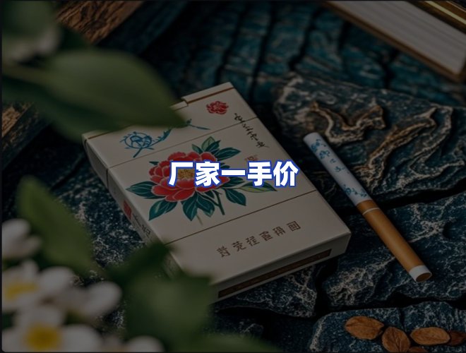 专业团队